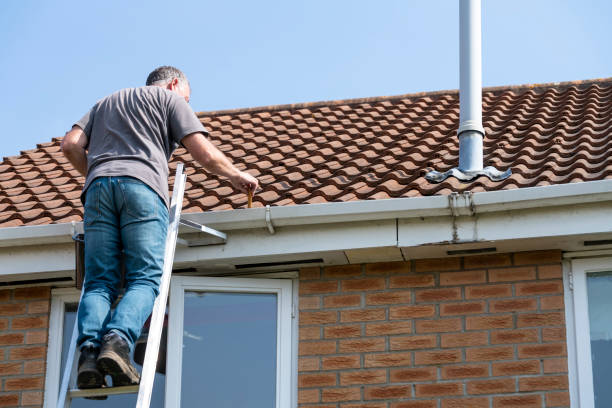 Gutter Cleaning